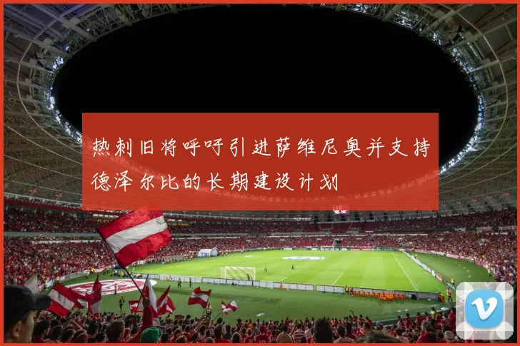 热刺旧将呼吁引进萨维尼奥并支持德泽尔比的长期建设计划